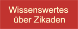 Was sind Zikaden?