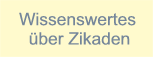 Was sind Zikaden?